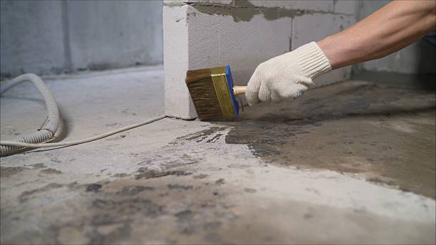 24/7 Emergency Wet Basement Repair experts in Eau Claire, MI